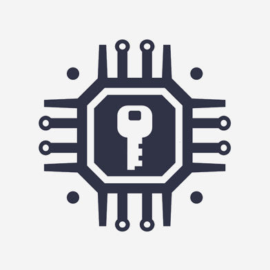 Custom Encryption Icon